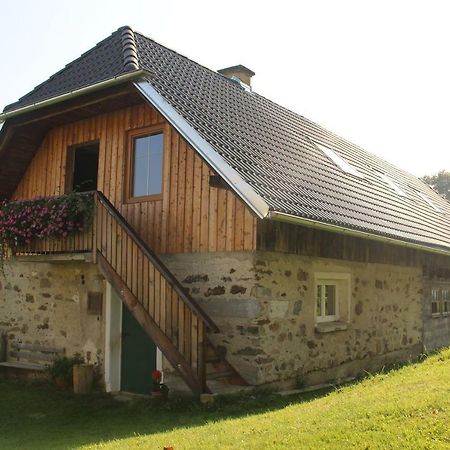 Appartement Urlaub Am Zechnerhof à Strassburg Extérieur photo