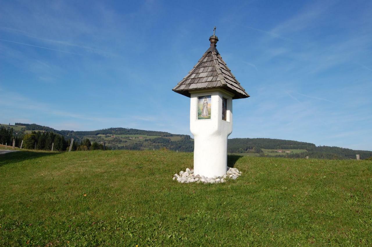 Appartement Urlaub Am Zechnerhof à Strassburg Extérieur photo